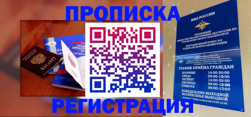 временная регистрация для школы в Курчалом